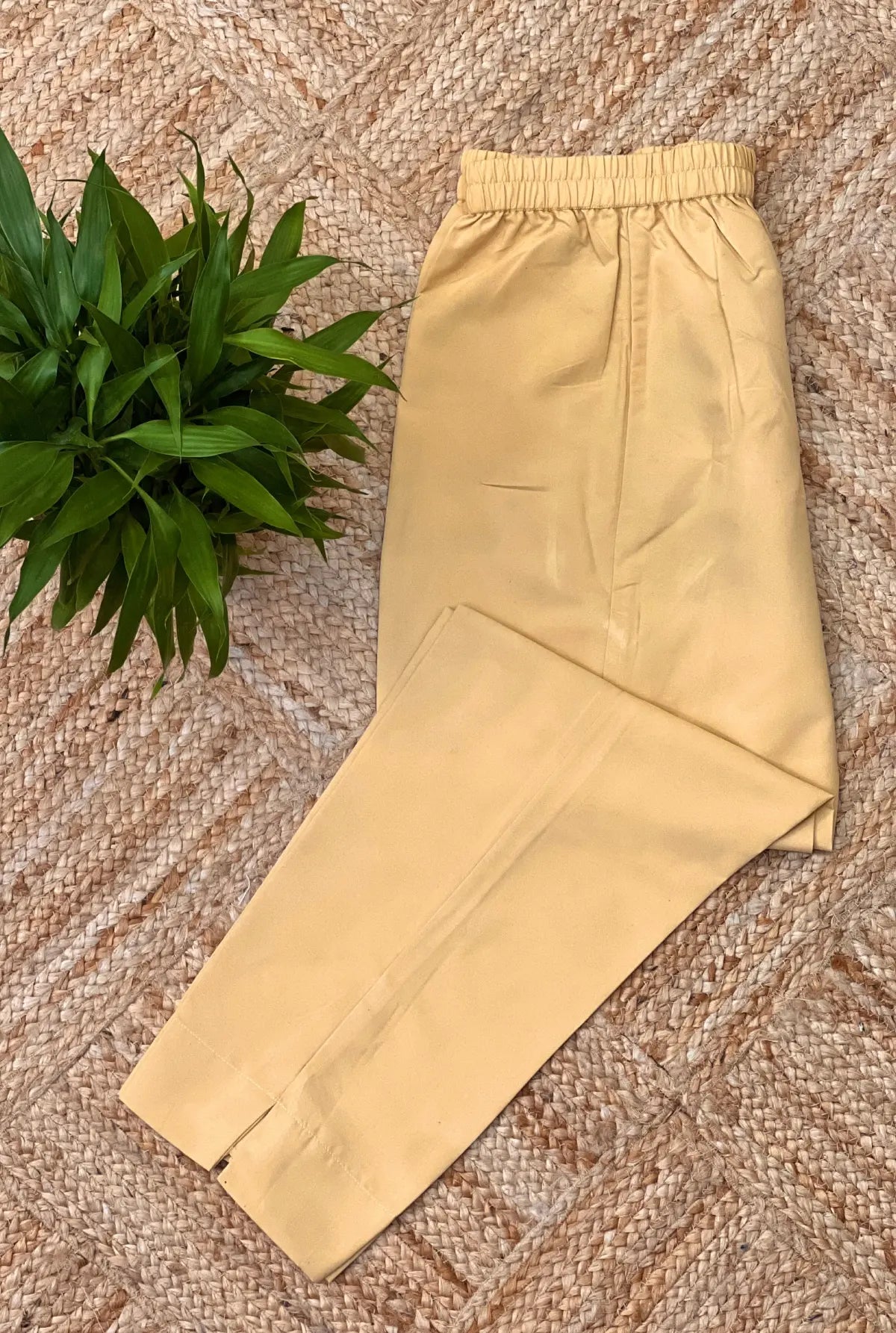 Our Own Brand Premium Bottom in Thar Laffer Cotton - 2744